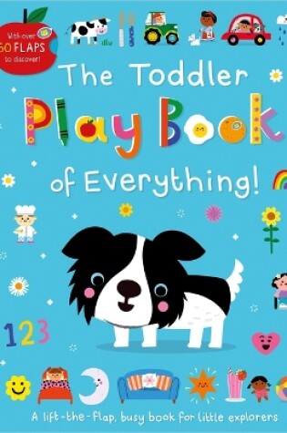 Cover of The Toddler Play Book of Everything!