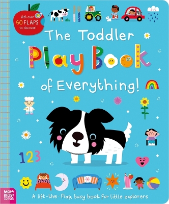 Book cover for The Toddler Play Book of Everything!