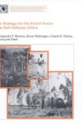 Cover of A Strategy to Develop Agriculture in Sub-Saharan Africa and a Focus for the World Bank