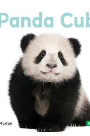 Cover of Panda Cubs