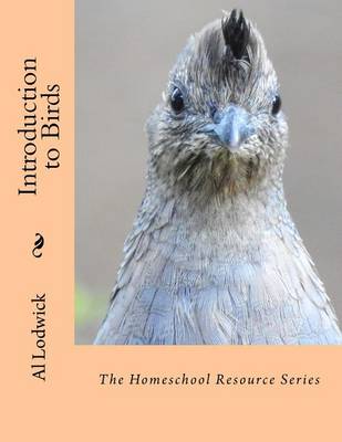 Book cover for Introduction to Birds