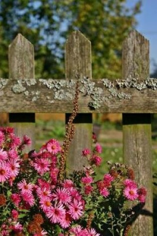 Cover of Pink Asters by the Wooden Fence Journal