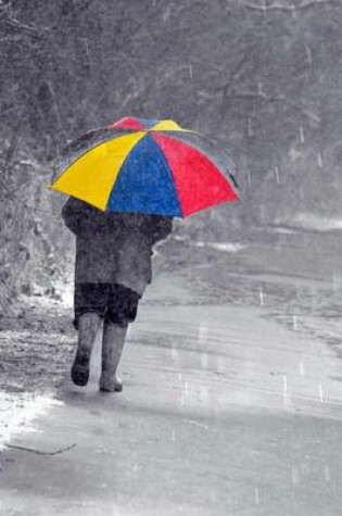 Cover of Website Password Organizer, Walking in the Rain with a Colorful Umbrella