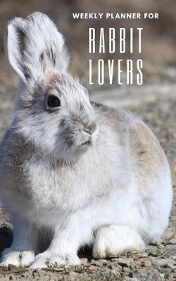 Book cover for Weekly Planner for Rabbit Lovers