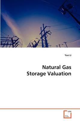 Book cover for Natural Gas Storage Valuation