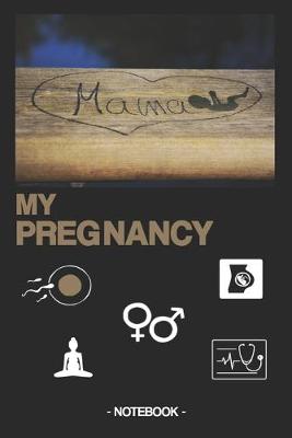 Book cover for My Pregnancy