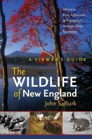 Cover of The Wildlife of New England