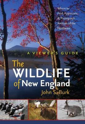 Book cover for The Wildlife of New England