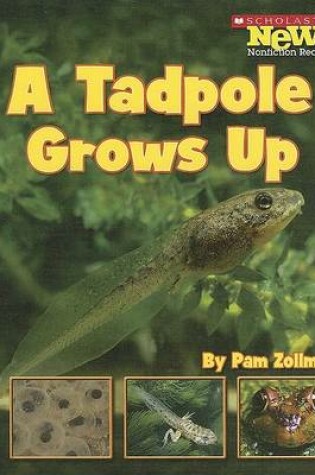 Cover of A Tadpole Grows Up