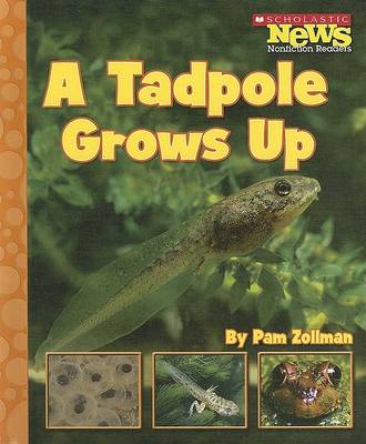 Book cover for A Tadpole Grows Up