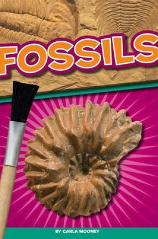 Cover of Fossils