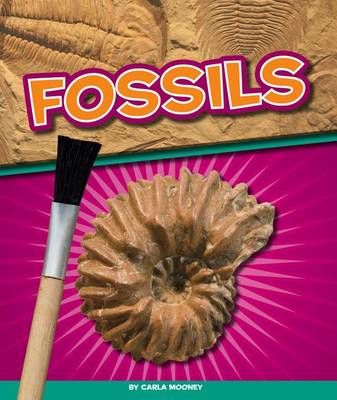 Book cover for Fossils