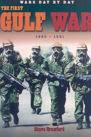 Cover of The First Gulf War