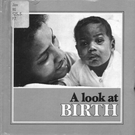 Book cover for A Look at Birth