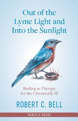 Book cover for Out of the Lyme Light and Into the Sunlight