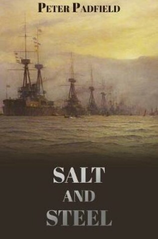 Cover of Salt and Steel