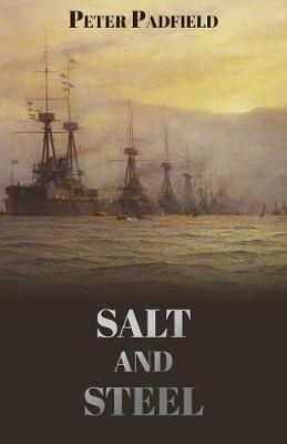 Book cover for Salt and Steel