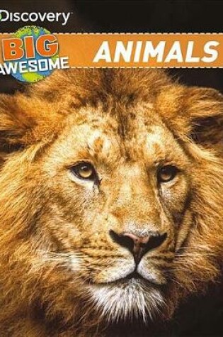 Cover of Discovery Big Awesome Animals