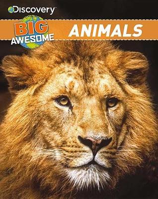 Book cover for Discovery Big Awesome Animals