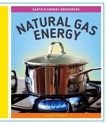 Book cover for Natural Gas Energy