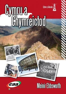 Book cover for Cyfres y Goleudy: Cymru a Chymreictod