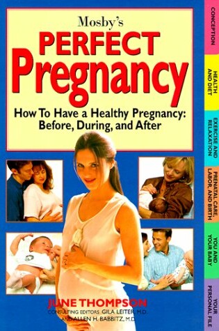 Cover of Perfect Pregnancy