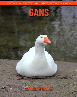 Book cover for Gans