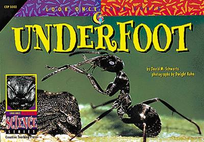 Cover of Underfoot