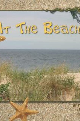 Cover of At the Beach
