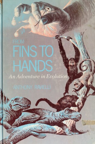 Book cover for From Fins to Hand