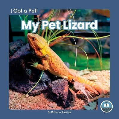Book cover for I Got a Pet! My Pet Lizard
