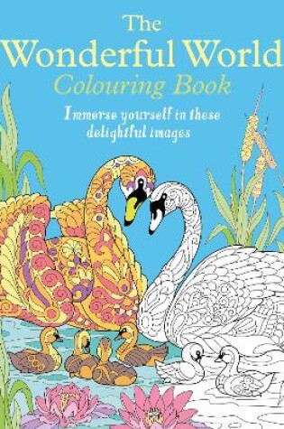 Cover of The Wonderful World Colouring Book