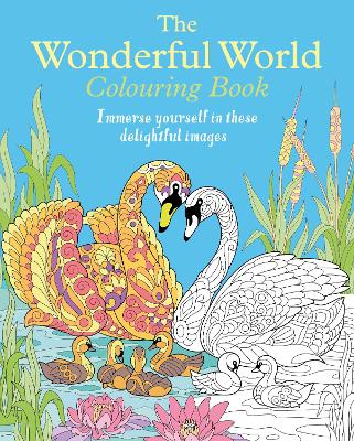 Book cover for The Wonderful World Colouring Book