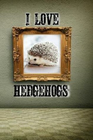 Cover of I Love Hedgehogs