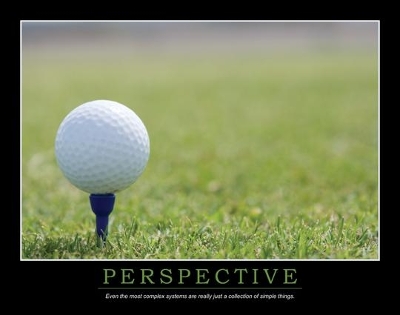 Book cover for Perspective Poster