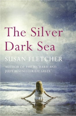 Book cover for The Silver Dark Sea
