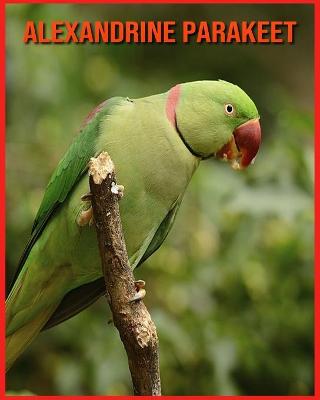 Book cover for Alexandrine Parakeet