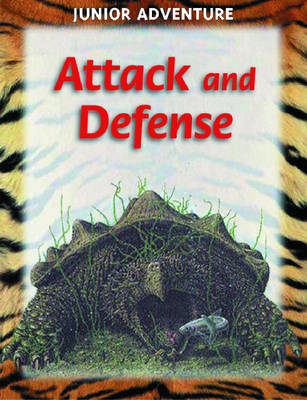 Book cover for Attack and Defense