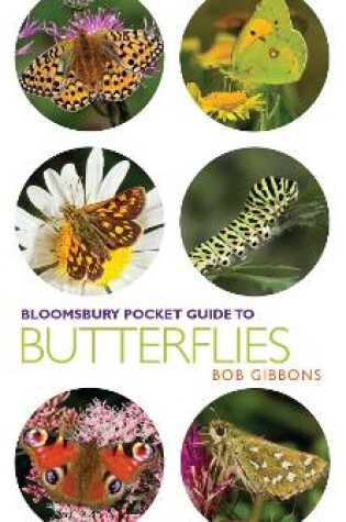 Cover of Pocket Guide to Butterflies