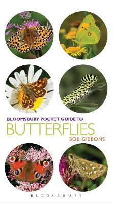 Book cover for Pocket Guide to Butterflies