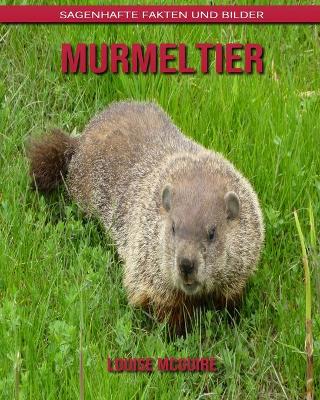 Book cover for Murmeltier