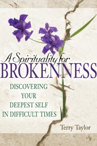 Cover of A Spirituality for Brokenness