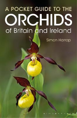 Book cover for Pocket Guide to the Orchids of Britain and Ireland