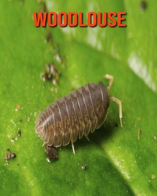 Book cover for Woodlouse