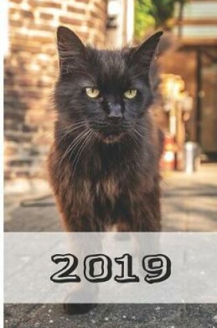 Cover of 2019