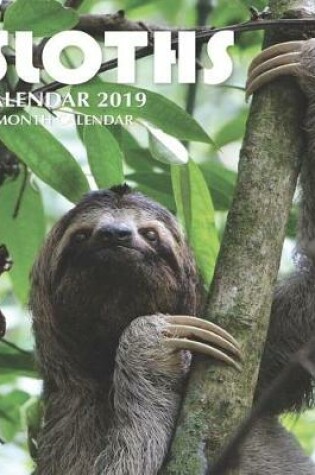 Cover of Sloths Calendar 2019