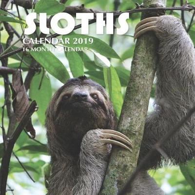 Book cover for Sloths Calendar 2019