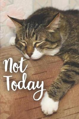 Book cover for Not Today