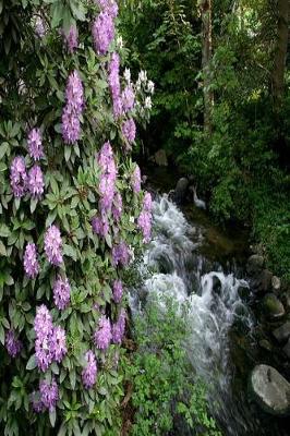 Book cover for Floral Journal Purple Rhododendron Beside Creek