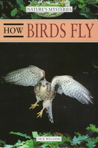 Cover of How Birds Fly